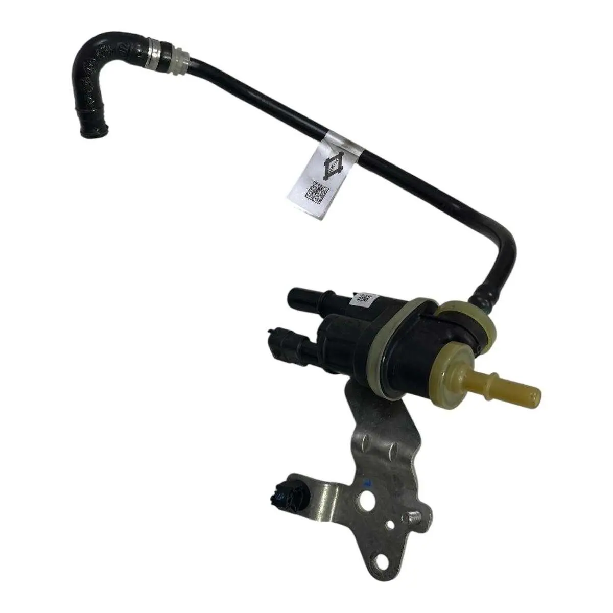 Valvula Canister Com Mangueira Fiat Pulse FastBack 22/24