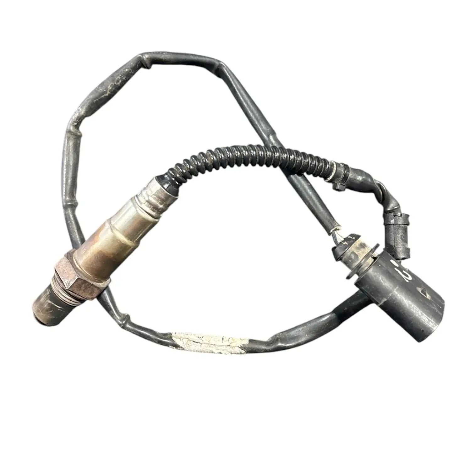 sonda lambda fox 1.0