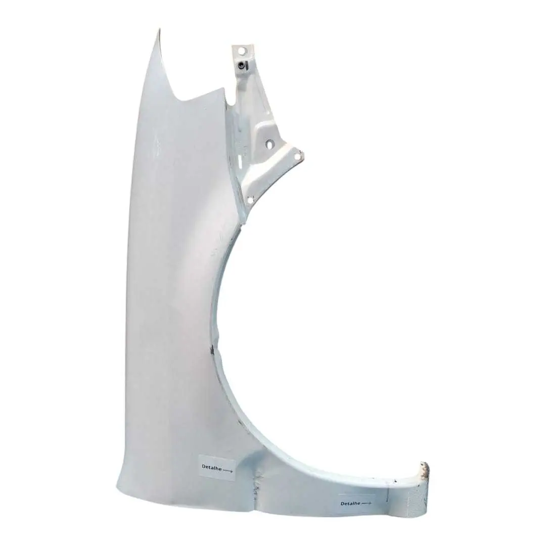 Paralama Dianteiro Direito Volkswagen Gol G4 2006/14 Detalhe